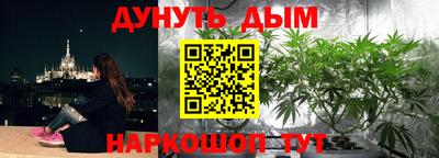тгк Славгород