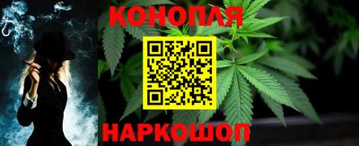 тгк Славгород