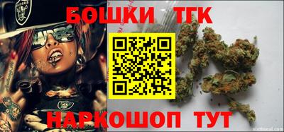тгк Славгород