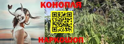 винт Славянск-на-Кубани