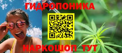 тгк Славгород