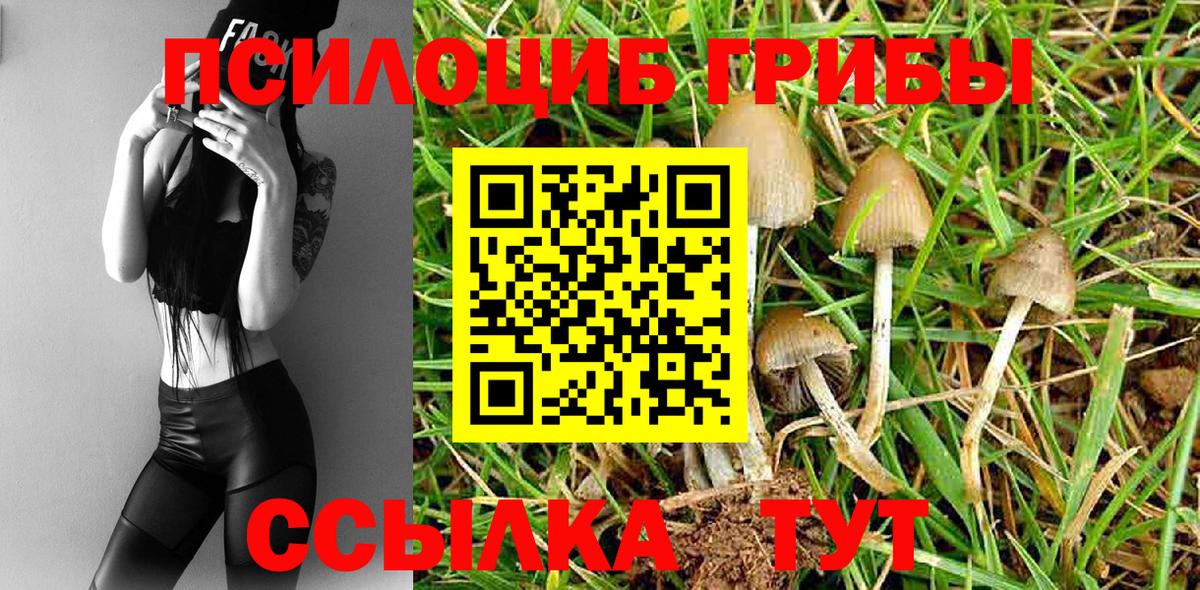 Галлюциногенные грибы Cubensis Новокубанск