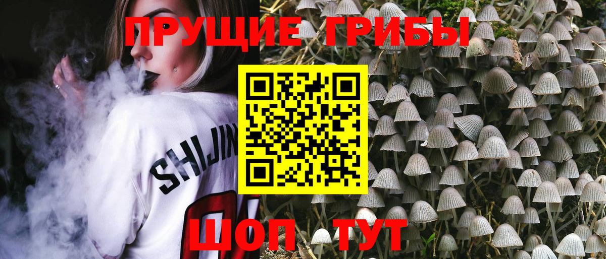 Псилоцибиновые грибы Cubensis  Вход с VPN  Новокубанск 